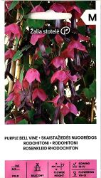 Purple Bell Vine Seeds